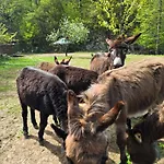 Familija Lovrinovi Retreat - Relax&reconnect Daire